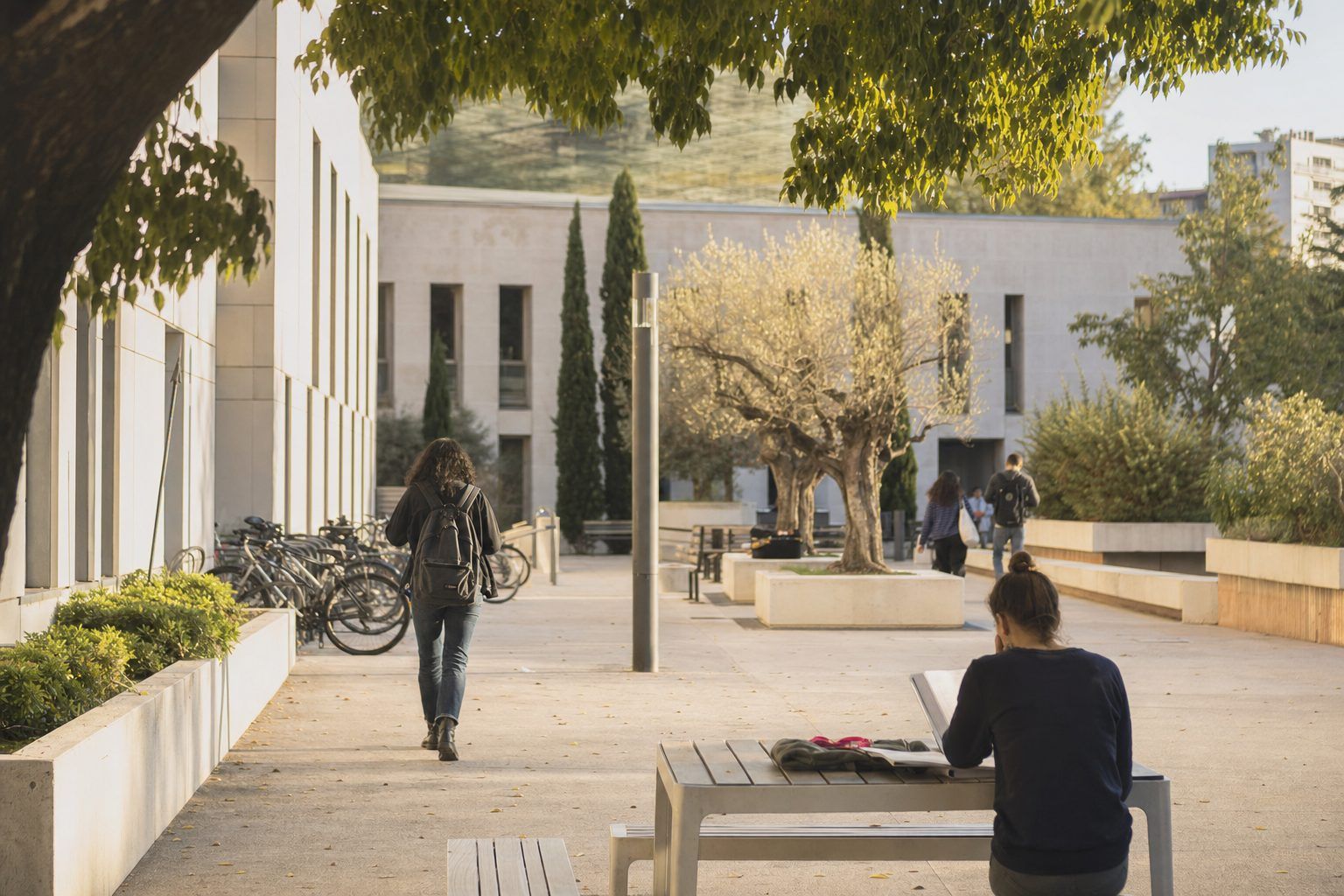 Avignon Université : repères utiles pour évaluer son environnement d’études